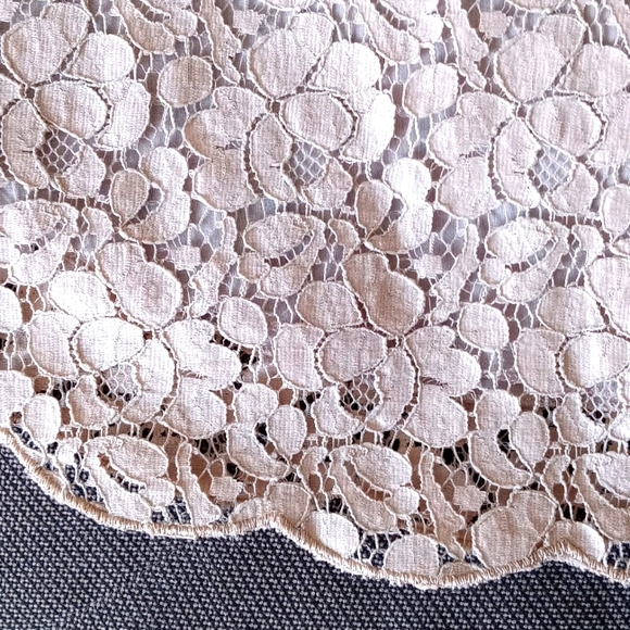 Talula (Aritzia) Lace Top - Picture 3 of 3